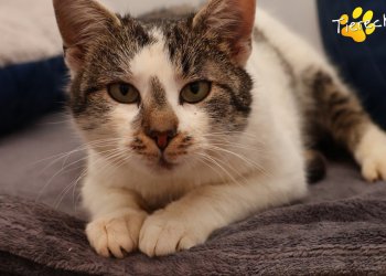 Unbekannt 260218-184601