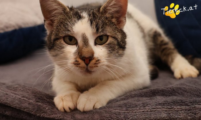 Unbekannt 260218-184601