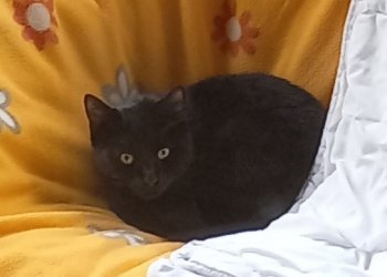 Unbekannt 260222-164302