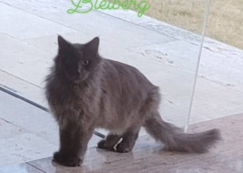 Unbekannt 260320-122819