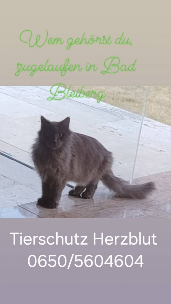 Unbekannt 260320-122819