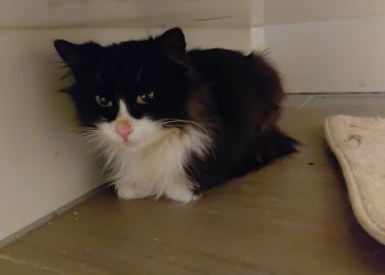 Unbekannt 260329-084626