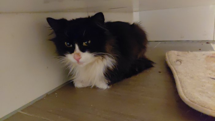 Unbekannt 260329-084626