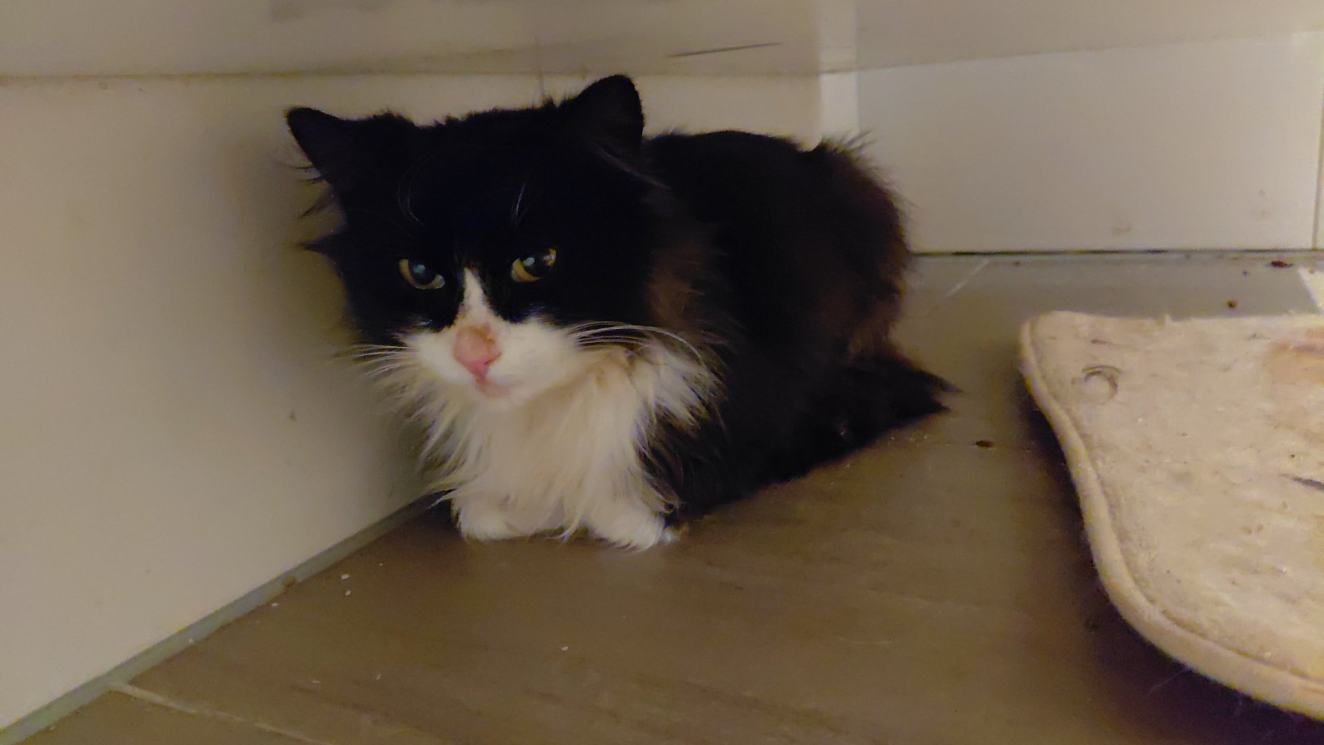 Unbekannt 260329-084626