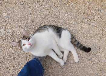 Unbekannt 260401-130545