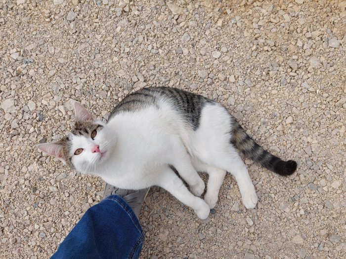 Unbekannt 260401-130545