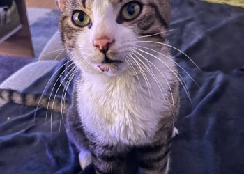 Unbekannt 260403-154915