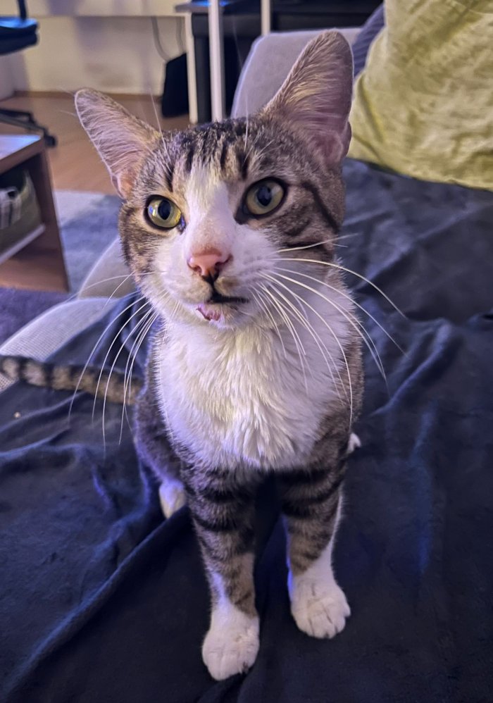 Unbekannt 260403-154915