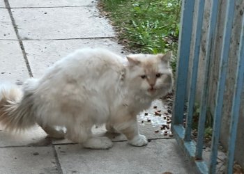 Unbekannt 260403-215547