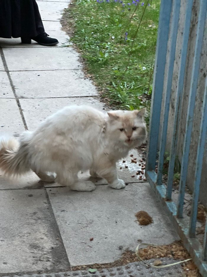 Unbekannt 260403-215547