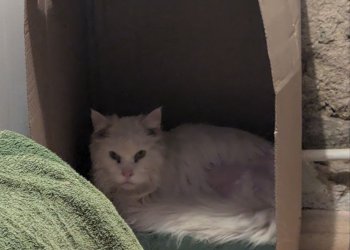 Unbekannt 260409-122233