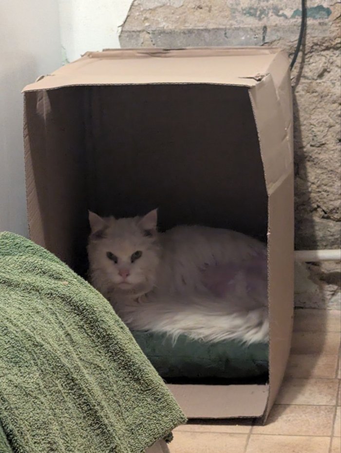 Unbekannt 260409-122233