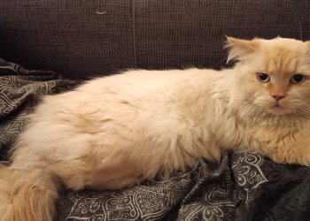 Unbekannt 260404-054200