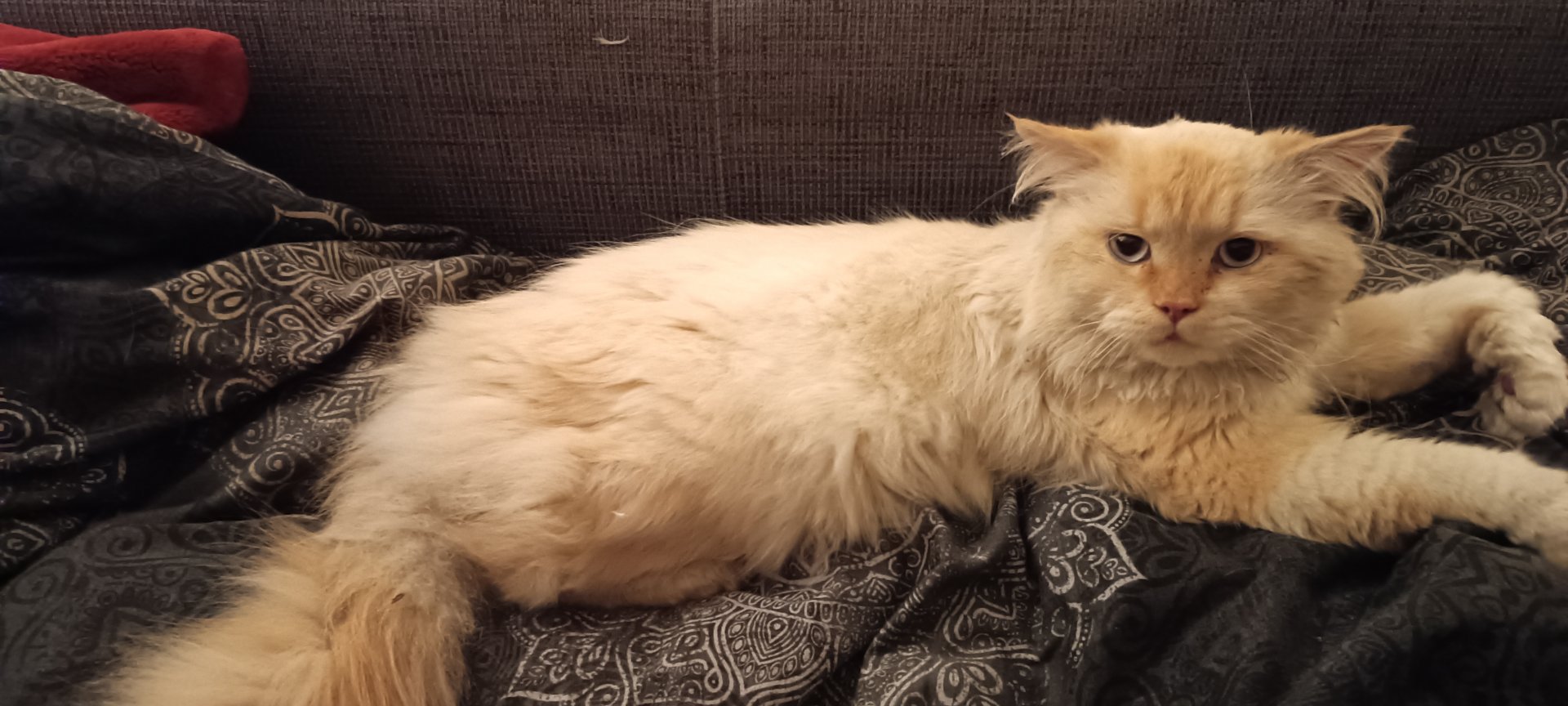 Unbekannt 260404-054200