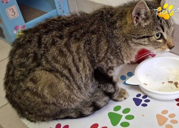 Unbekannt 260413-112523