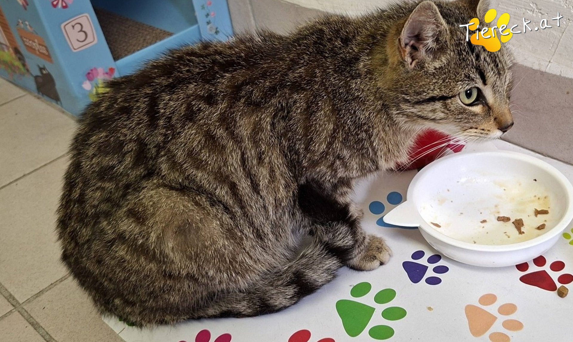 Unbekannt 260413-112523