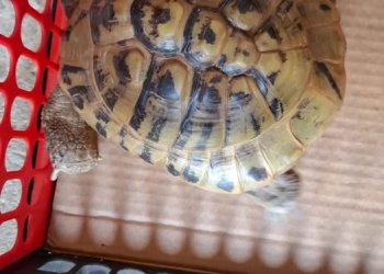 Unbekannt 260422-150955