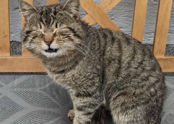 Unbekannt 260416-211042