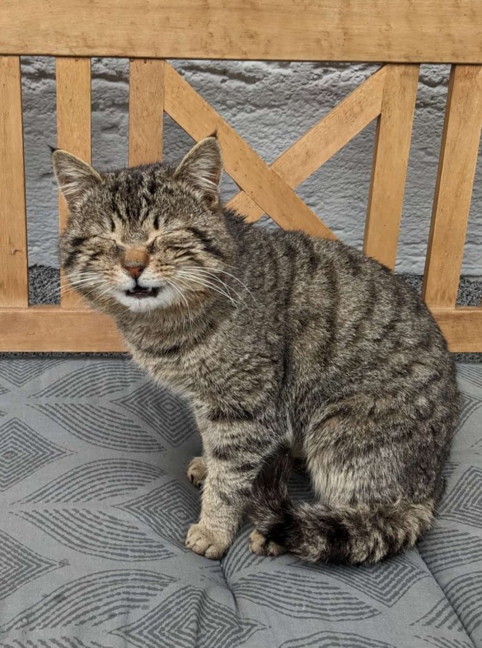 Unbekannt 260416-211042