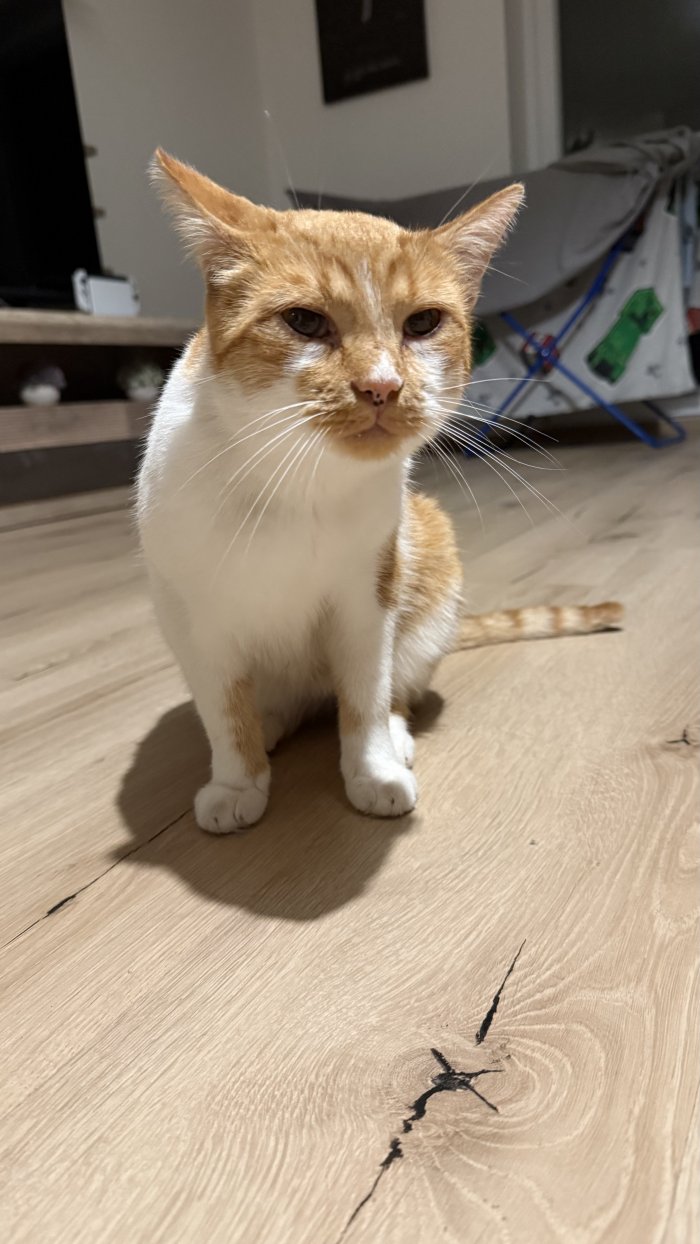 Unbekannt 250920-111813