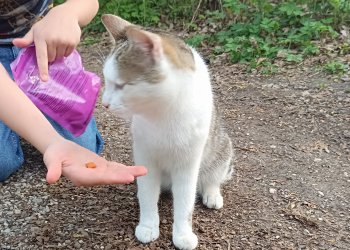 Unbekannt 260429-095717