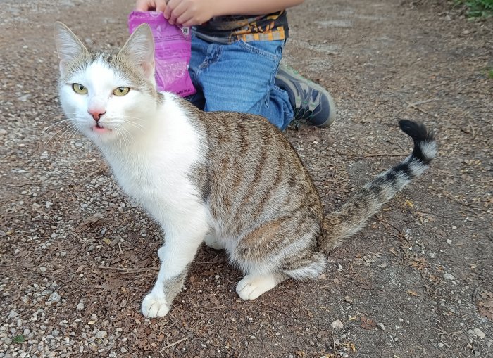 Unbekannt 260429-095717