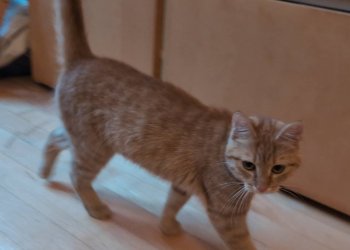 Unbekannt 260429-223257