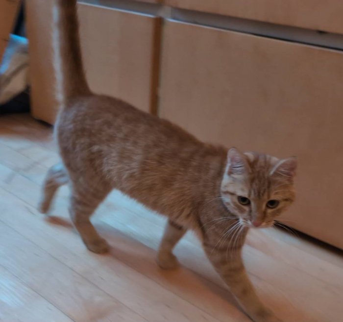 Unbekannt 260429-223257