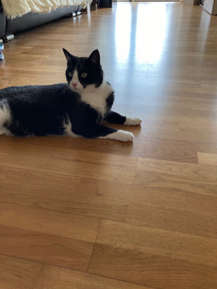 Unbekannt 250814-091749