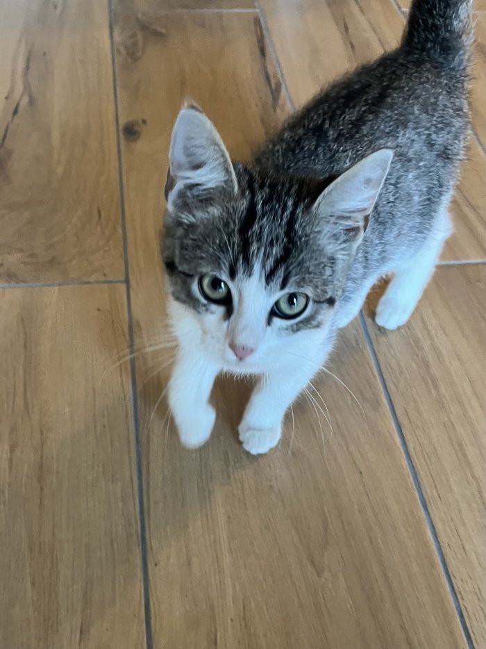 Unbekannt 250921-014854