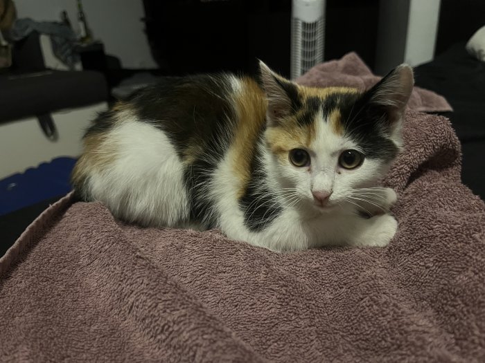 Unbekannt 250726-235739