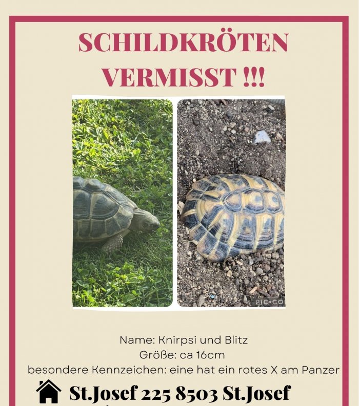 Unbekannt 250624-120002