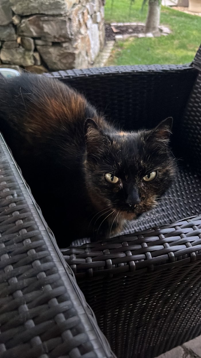 Unbekannt 250818-153043