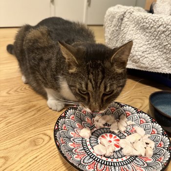 Unbekannt 250829-081427