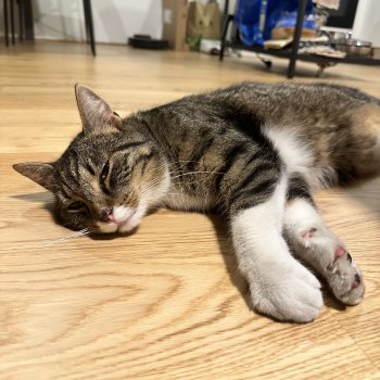 Unbekannt 250829-081427