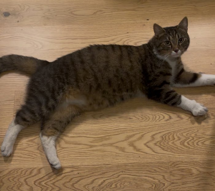 Unbekannt 250829-082216