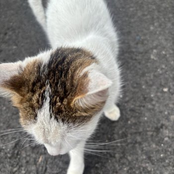 Unbekannt 250902-193811