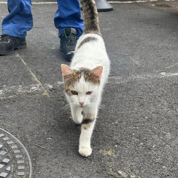 Unbekannt 250902-193811