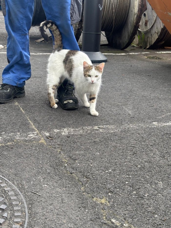 Unbekannt 250902-193811