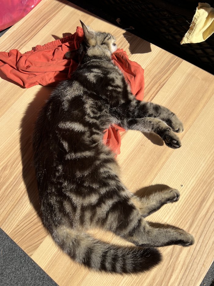 Unbekannt 250908-122854