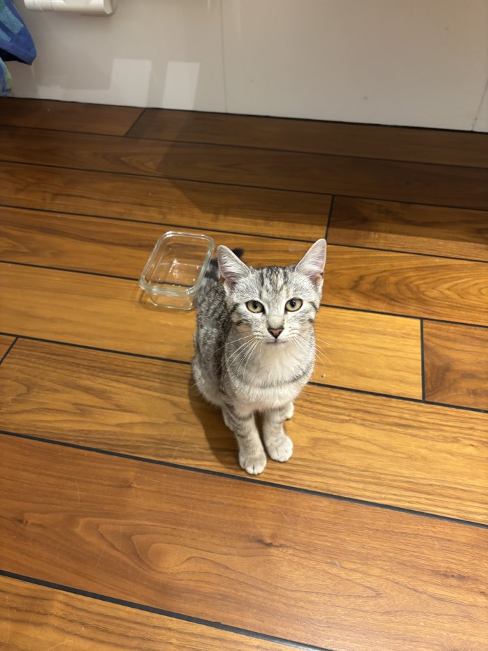 Unbekannt 250925-190142