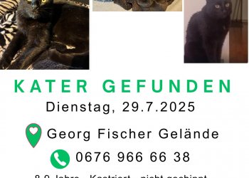 Unbekannt 250803-221126