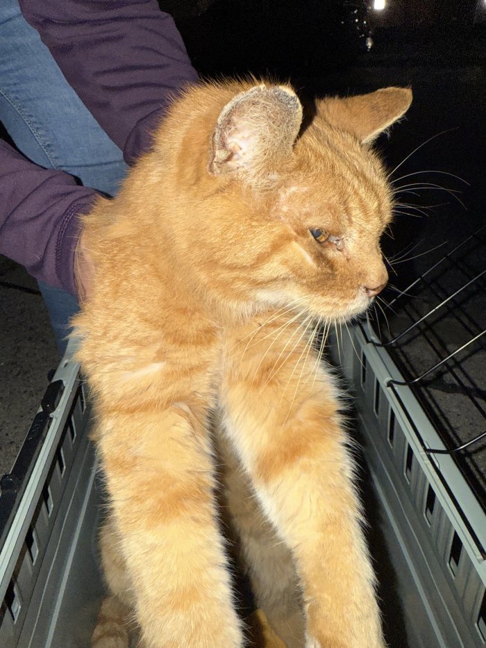 Unbekannt 250930-131644