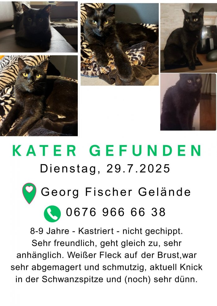 Unbekannt 250803-221126