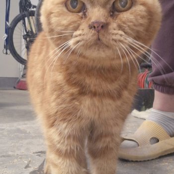 wir nennen ihn „Heinz“ 260507-083919