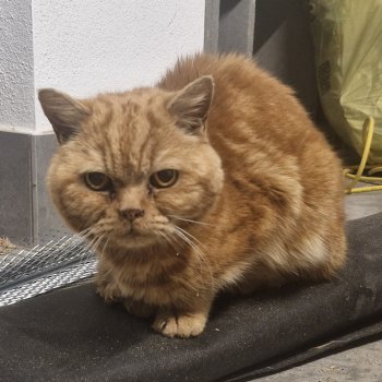 wir nennen ihn „Heinz“ 260507-083919