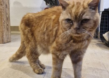 wir nennen ihn "Heinz" 260507-083919