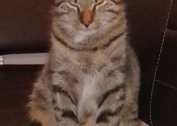 Billi 250429-202113