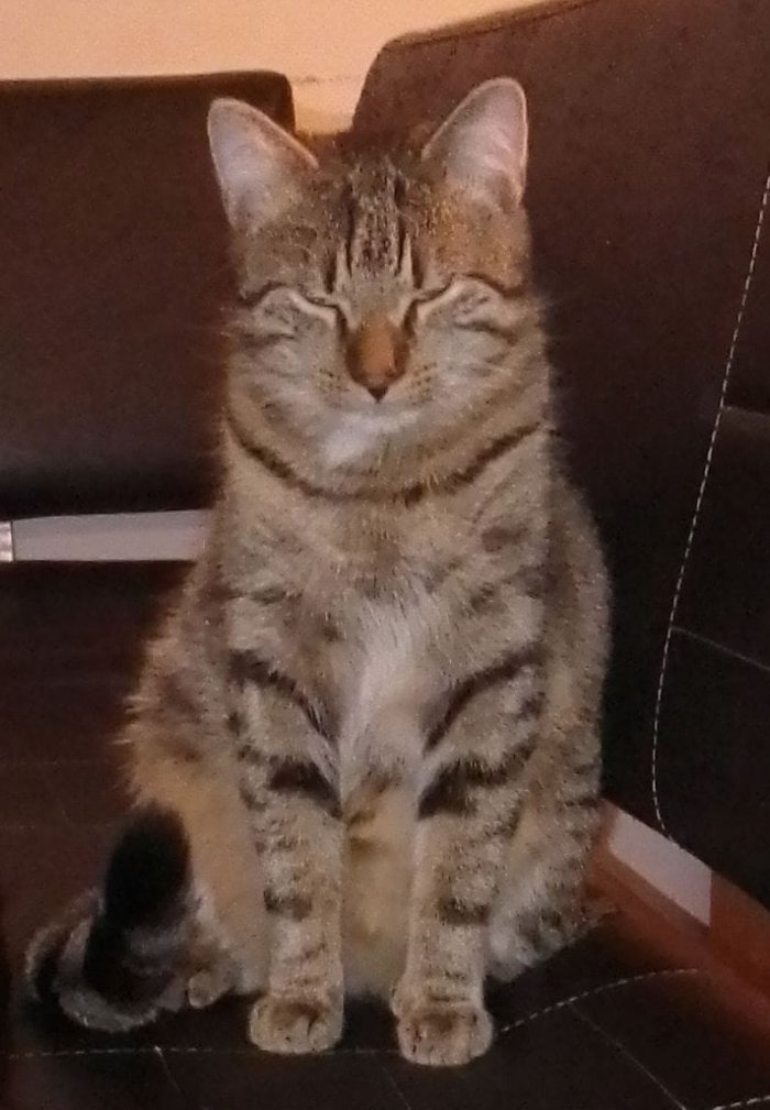 Billi 250429-202113